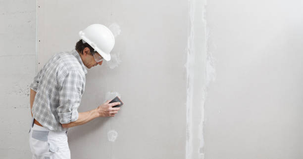 Best Mold Documentation for Insurance Claims  in Lakewood Park, FL