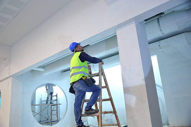 Best Mold Odor Removal Services  in Lakewood Park, FL